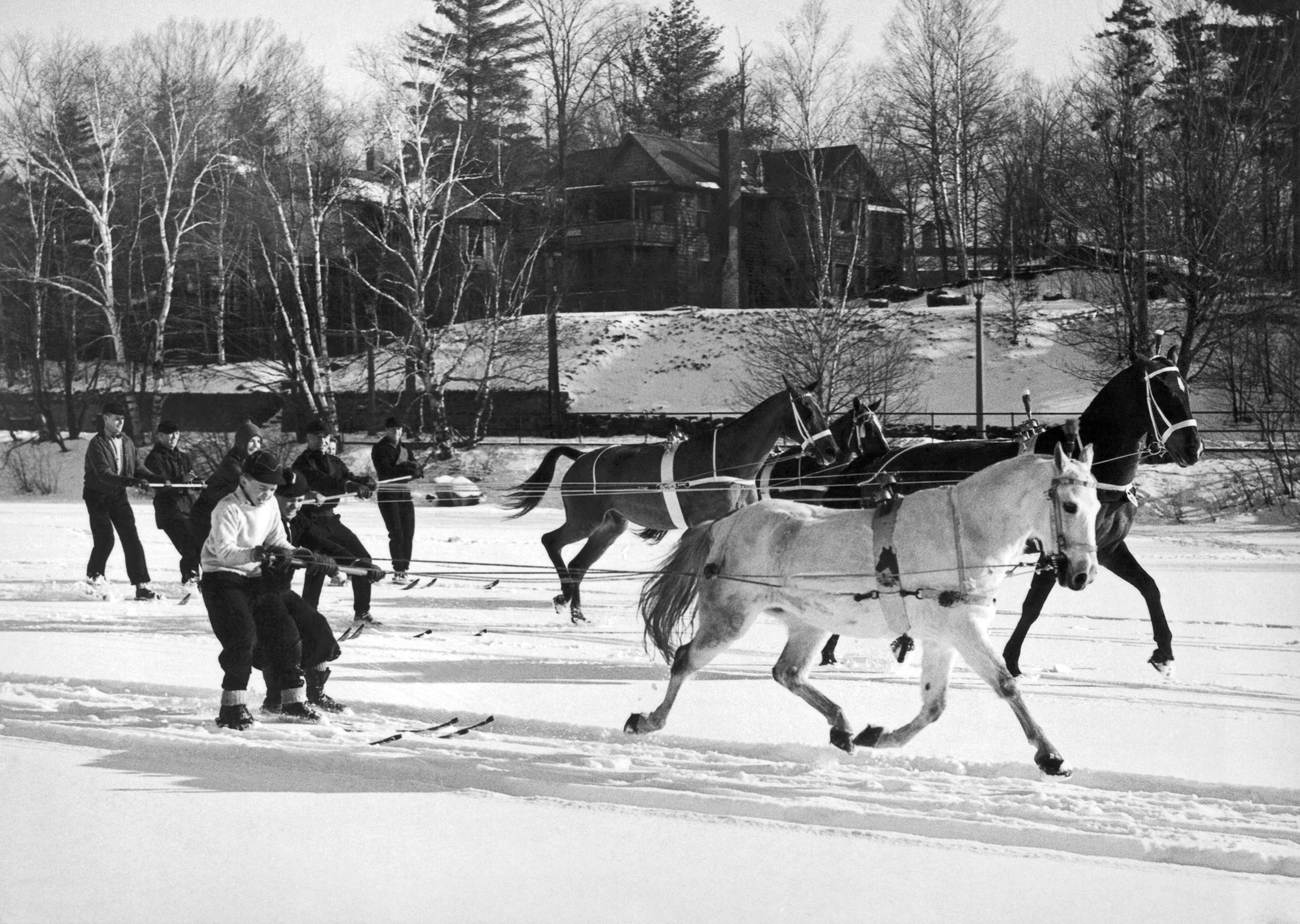 A black-and-white historical photograph from 1936 showing several people participating in skijoring at Lake Placid, New York. Three horses—one white, one brown, and one black—gallop across a flat, snow-covered field, each towing skiers behind them using long ropes. The skiers, dressed in vintage winter athletic gear, lean back for balance as they are pulled along tracks in the snow. In the background, a large multi-story house and a dense line of bare winter trees sit on a slight incline under a clear sky.
