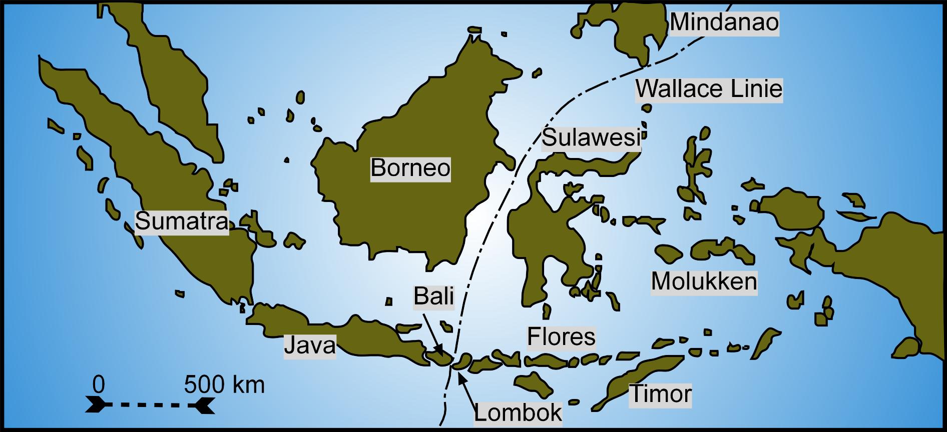 a map of pacific islands, with a black line separating bornoe from flores