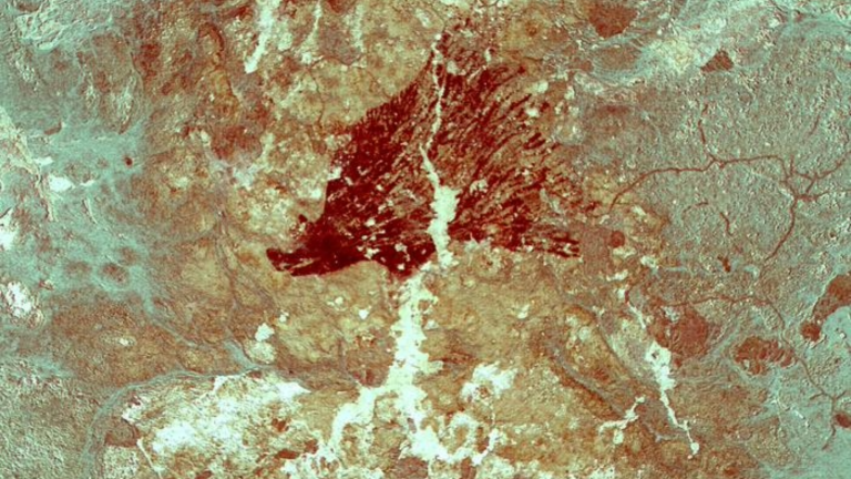 a cave painting of two warty pigs