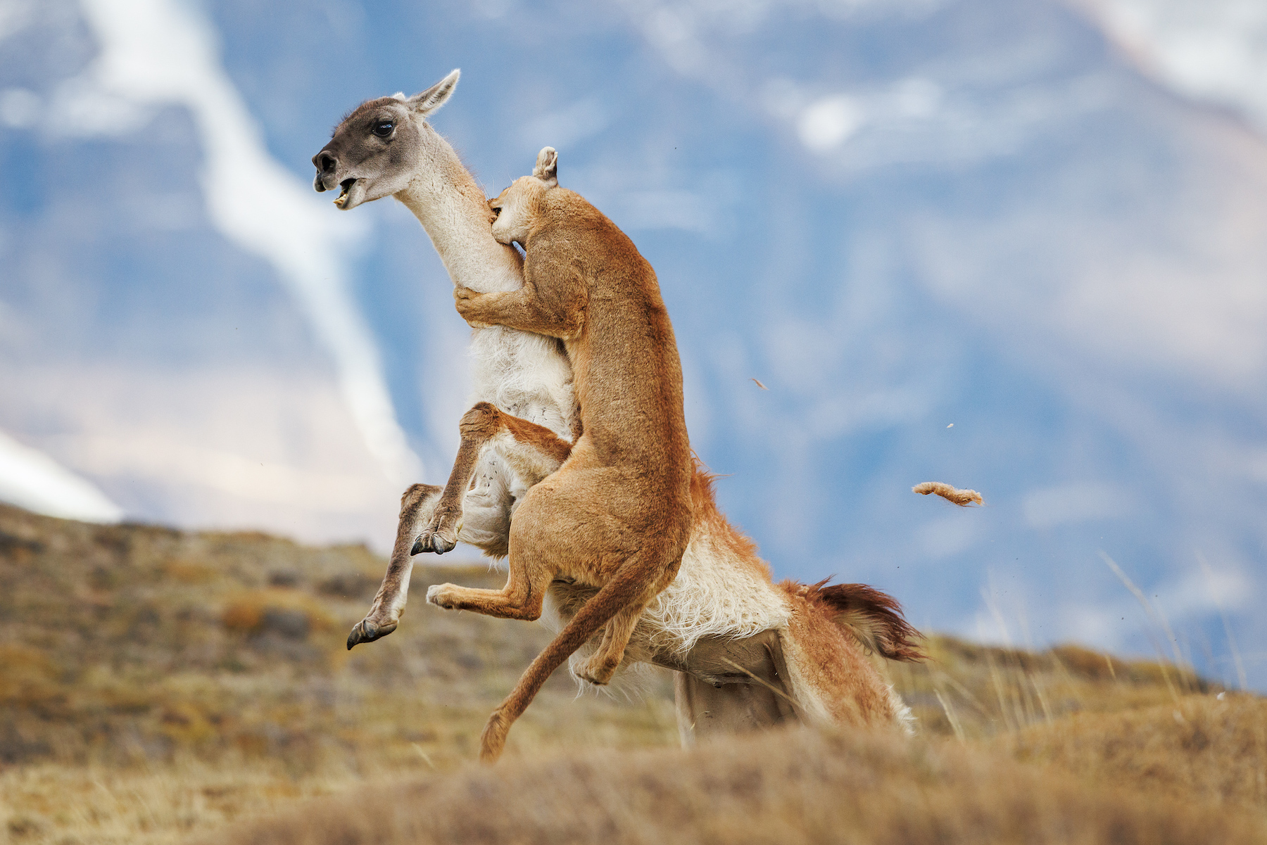 20 riveting images from the Sony World Photography Awards 2026
