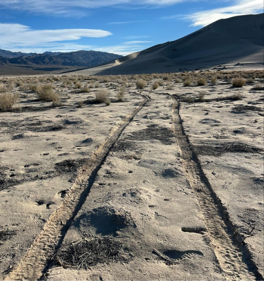 Two parallel tire tracks cut through a pale, sandy desert scattered with dry shrubs. The tracks lead toward large sand dunes and dark mountain ranges, all beneath a vast blue sky with streaks of white cloud. 