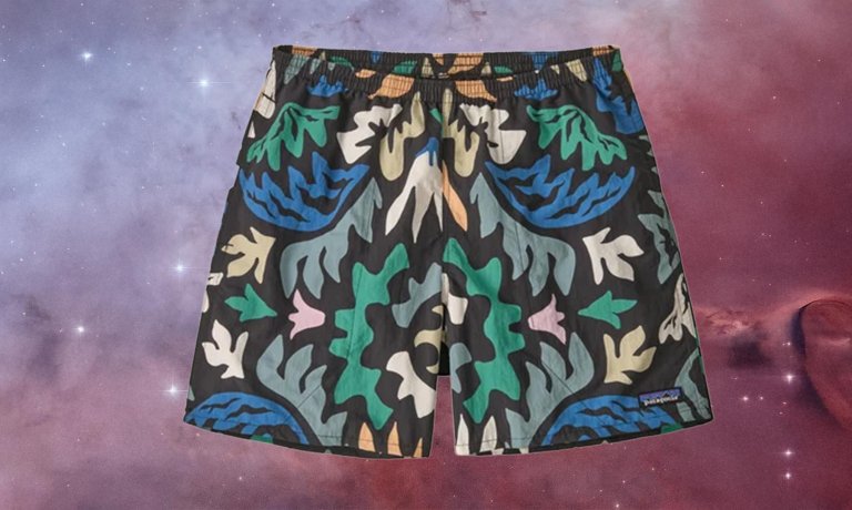 Patagoonia Mens Baggies Shorts