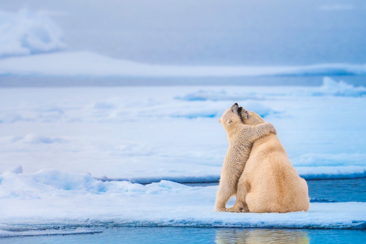 24 beautiful images from the World Nature Photography Awards 2026