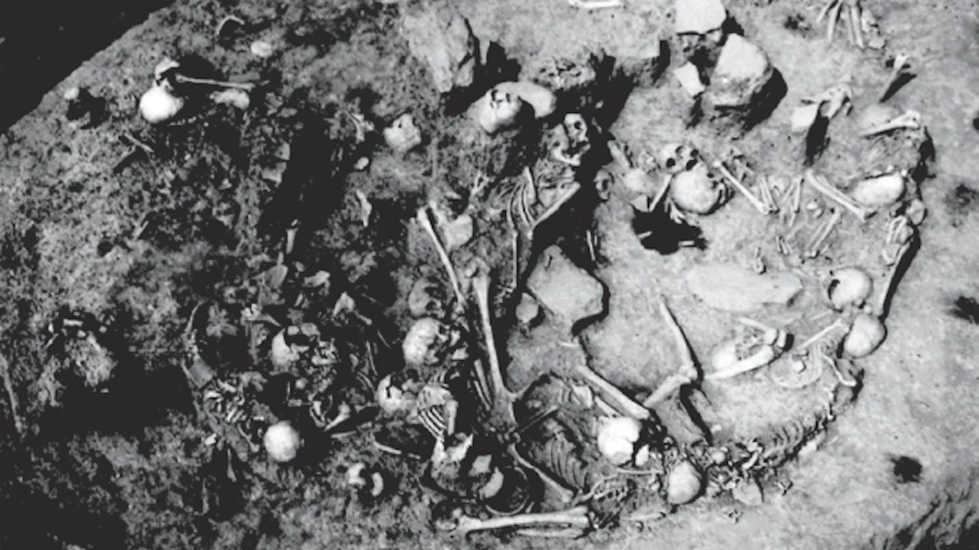 Black and white photo of Iron Age mass grave bones in Serbia