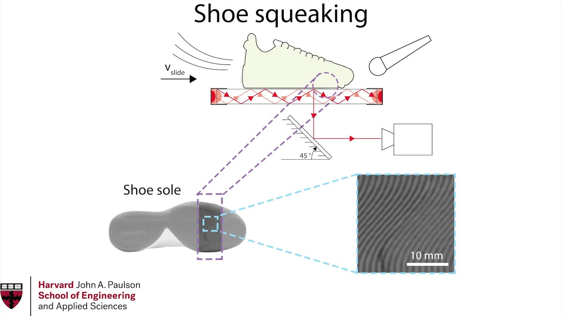A visualization of the frictional interface when sliding a basketball shoe.
