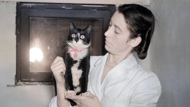 A colorized historical photograph of a woman in a white coat holding Simon, a black and white tuxedo cat who served as a celebrated ship's cat in the British Royal Navy. The cat wears a pink collar with a name tag, and both the woman and the cat are positioned in front of a dark window.