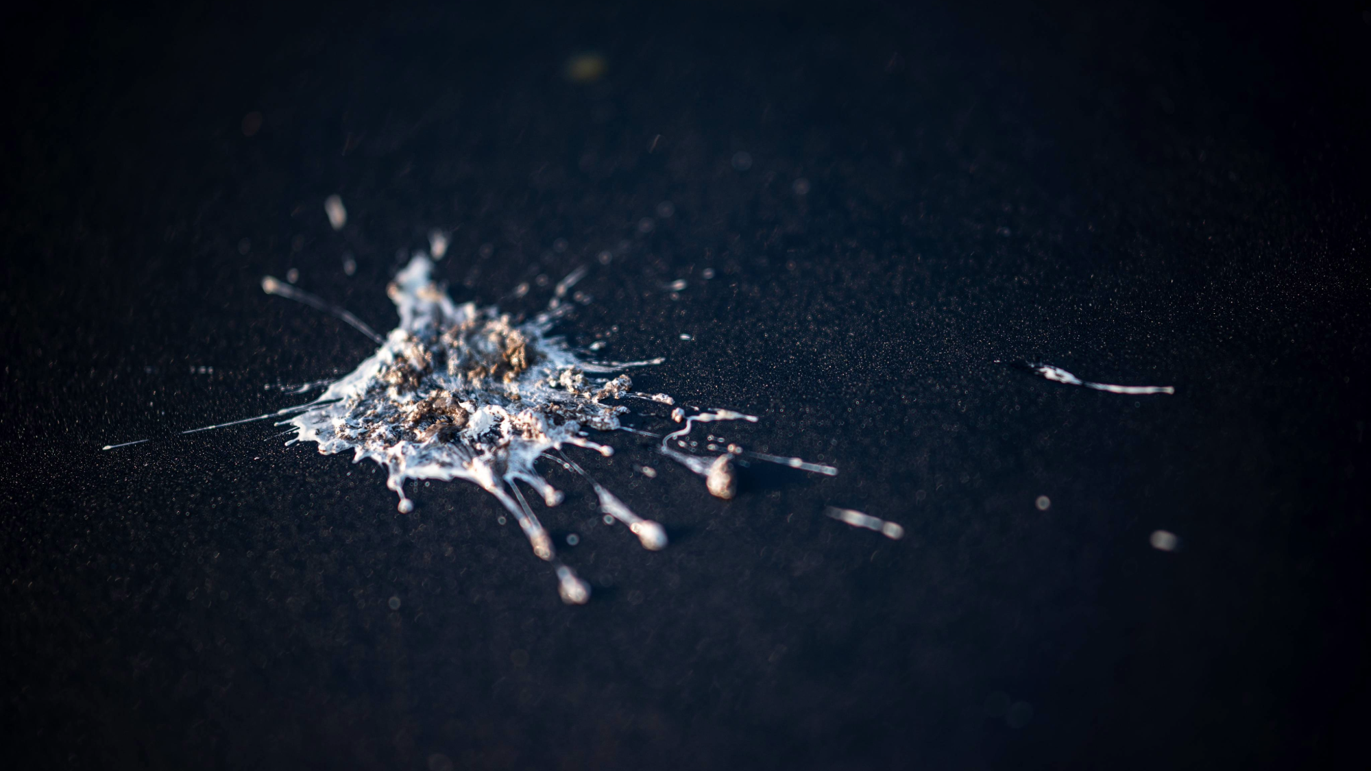 Bird poop powered this pre-Hispanic kingdom | Popular Science