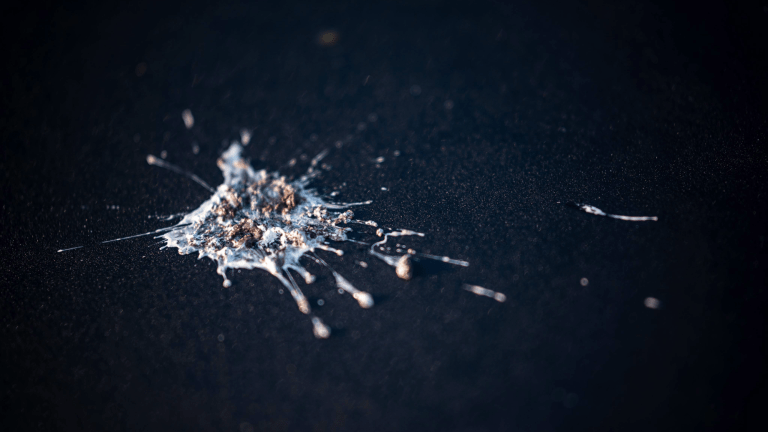 white bird poop on a black car