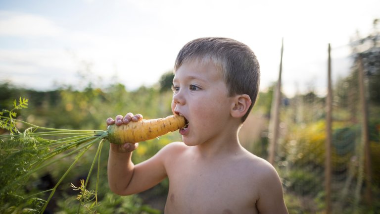 A close-up photograph of a young child in a sunlit garden, biting into a large, freshly harvested carrot. The child is shirtless, and the carrot still has its long, vibrant green leafy tops attached. The background is a soft-focus view of a lush garden under a bright, clear sky.