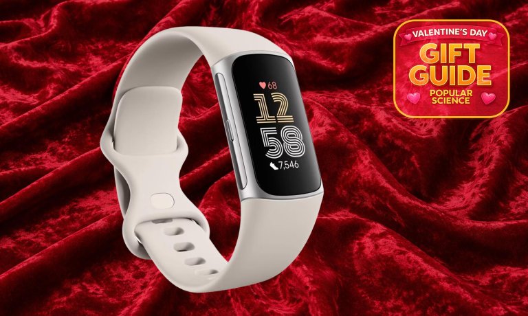 FitBit Charge 6 fitness band