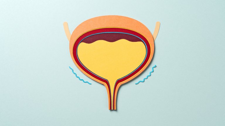 Paper Craft Anatomy of a Urine-filled Human Bladder That Produces Urination on Blue Background Front View.