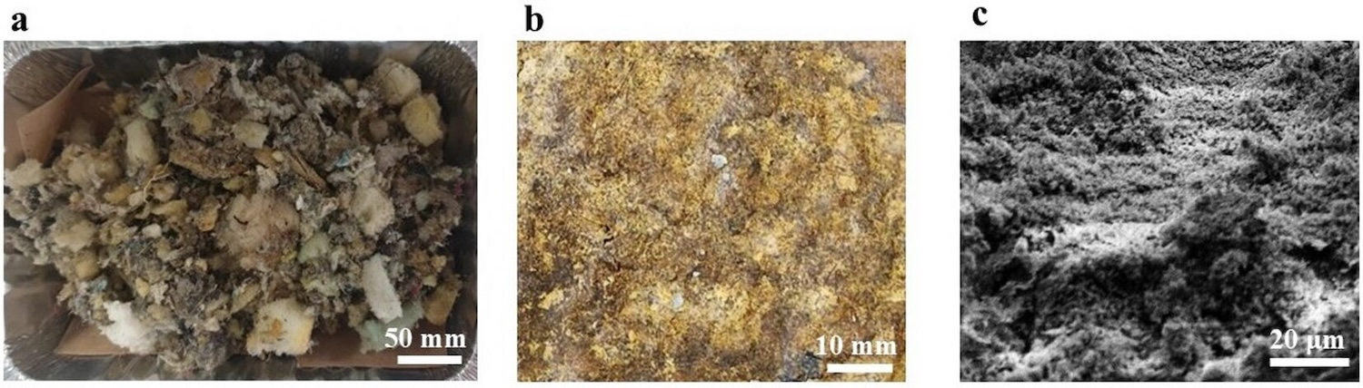 Photographic and microscopic analysis of mattress waste before and after treatment. (a) Shredded mattress waste, (b) Optical image of mycelium-based bio-composites derived from recycled mattress waste, (c) Scanning electron micrograph of the mycelium-based bio-composites. Credit: Scientific Reports 