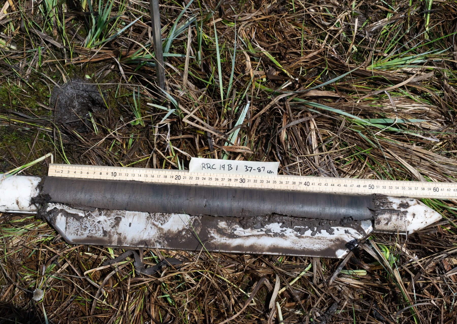 a large cylindrical bit of dirt lying on grass