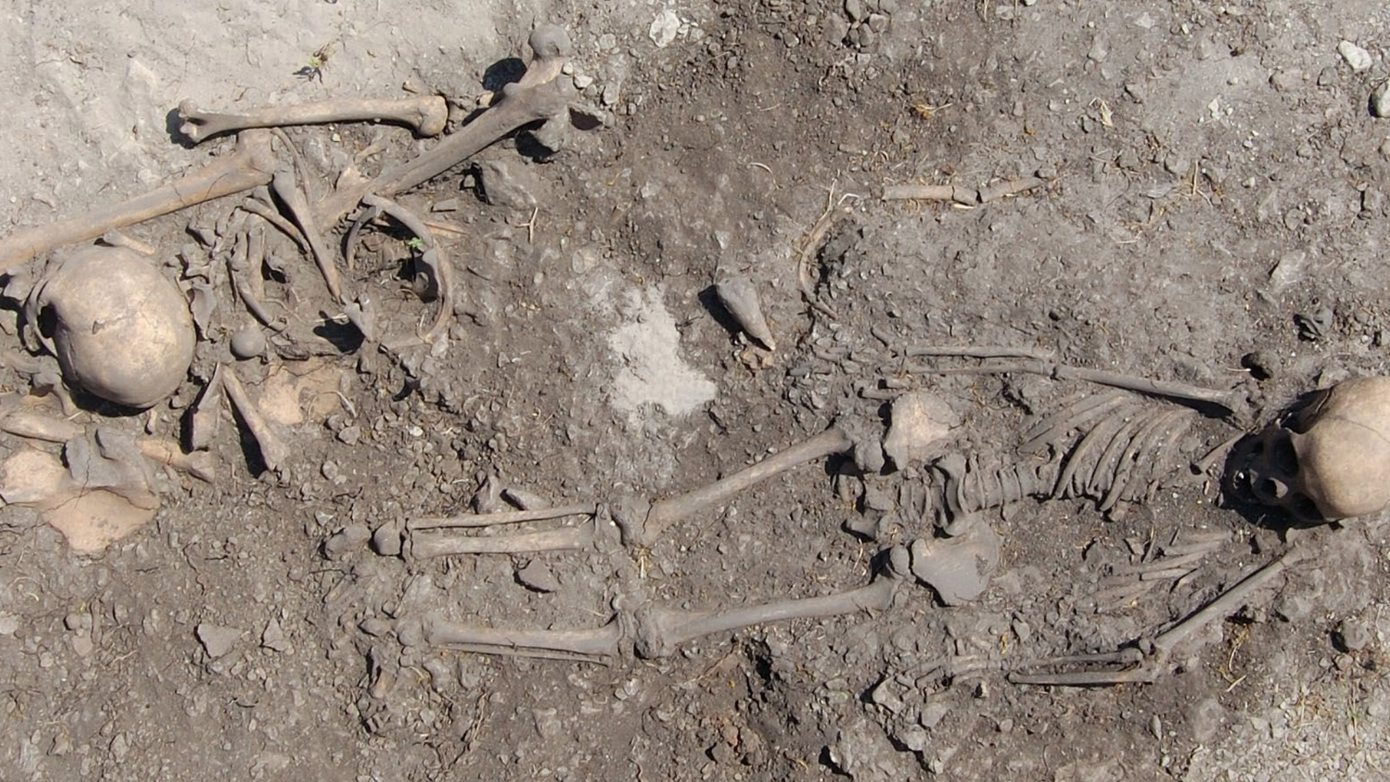 bones laid out in a grave