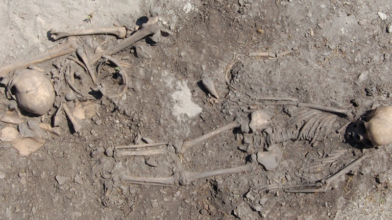 bones laid out in a grave