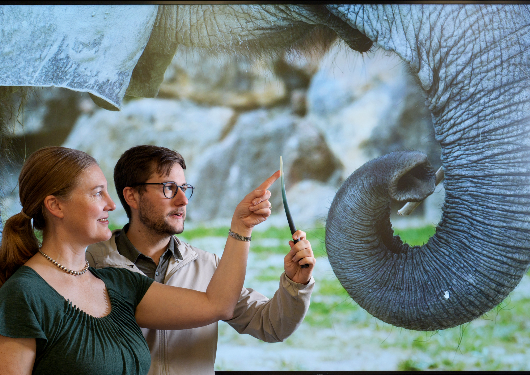 Katherine J. Kuchenbecker (left) and Andrew K. Schulz (right) with the 3D-printed whisker wand that helped the research team understand how a functional gradient of material stiffness could facilitate contact sensing in elephant and cat whiskers. 