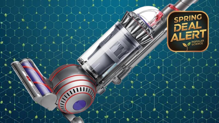 Dyson Ball Animal 3 Upright Vacuum