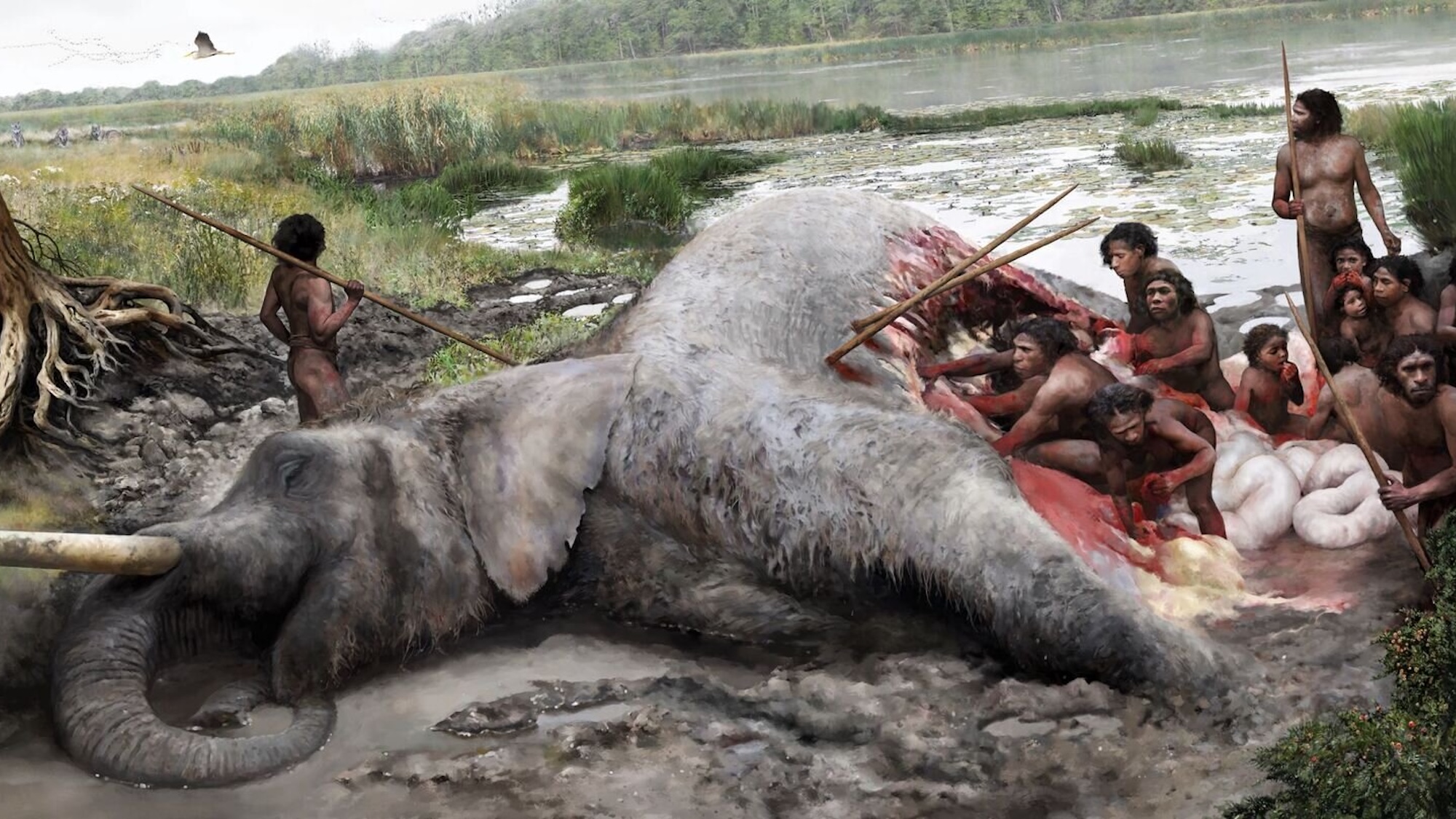 Illustration of Neanderthal tribe butchering large elephant near lake