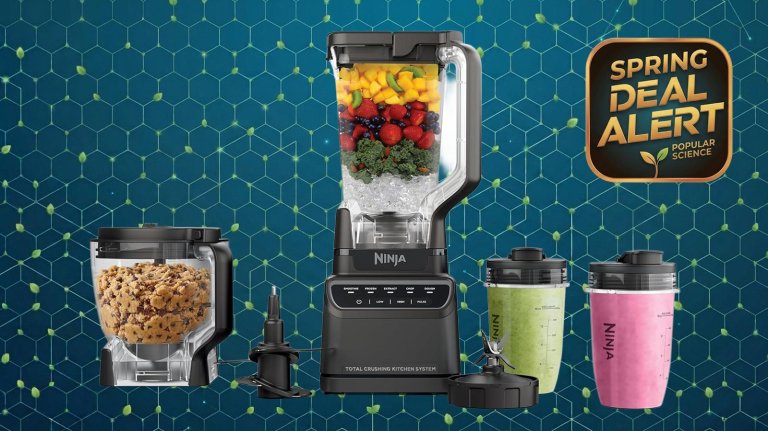 Ninja kitchen system with blender cups