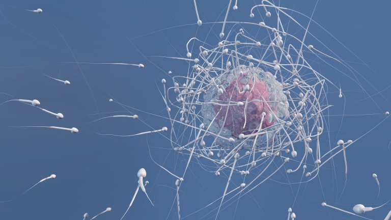 Illustration of sperm cells around egg