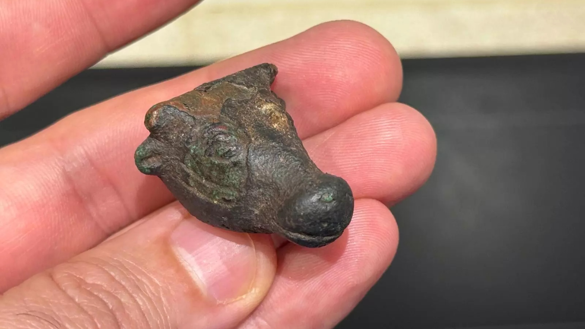 サイン入 フィリップ・ワイズベッカーARQUEOLOGÍA DEL FUTURO Hiker finds 3,000-year-old bull sculpture in Spain | Popular Science