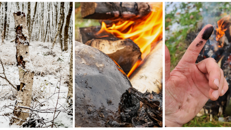The bark of birch trees has been used to produce tar for more than 150,000 years. The center photo shows birch bark tar condensed onto a rock that borders a hearth. When scraped off the rocks, the viscous tar can be used as both an adhesive and antibiotic.