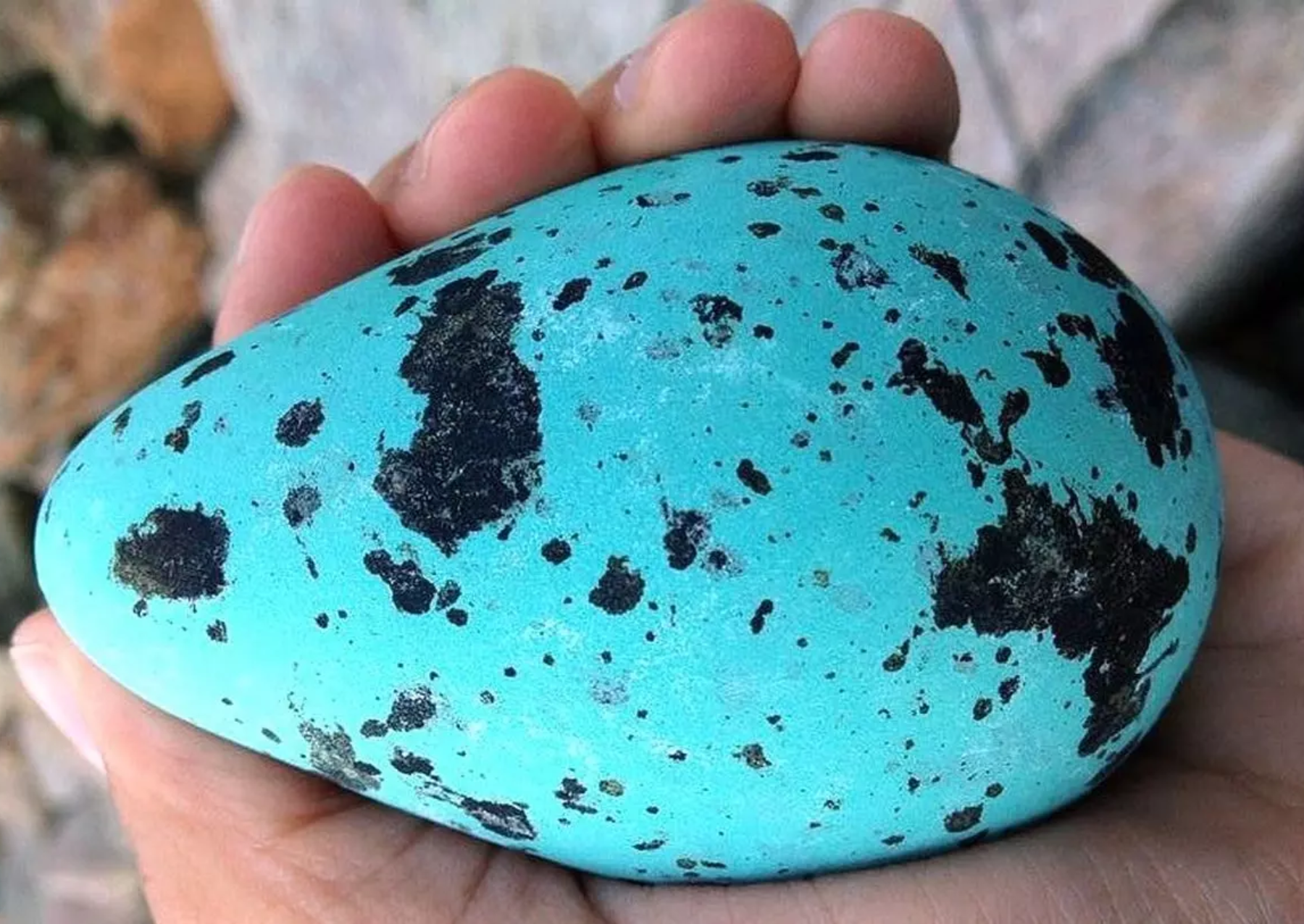 a pear-shaped teal egg with black spots