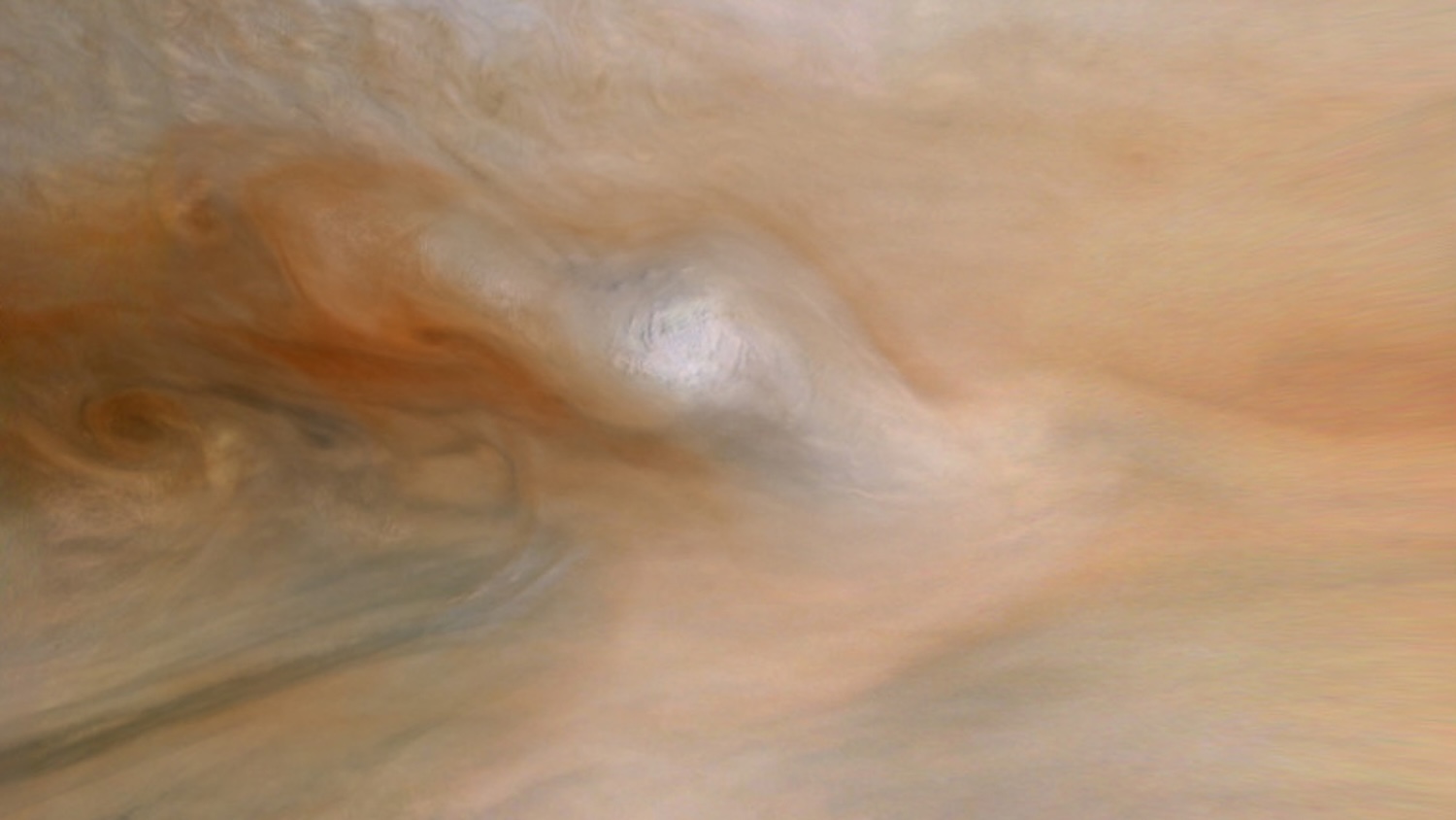 A camera on NASA’s Juno spacecraft took this image of a high-altitude storm—a stealth superstorm plume—in Jupiter’s North Equatorial Belt on Jan. 12, 2022. The head of the storm is white because of frozen ammonia crystals. The redder clouds are deeper in the atmosphere. UC Berkeley’s Michael Wong analyzed lightning produced by four stealth superstorms like this between 2021 and 2022. Credit: NASA/JPL-Caltech/SwRI/MSSS/Björn Jónsson