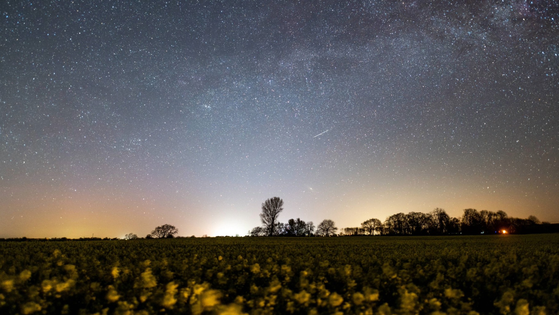 A starry sky shines over a field of flowers in Germany during the annual Lyrid meteor shower in April 2020.