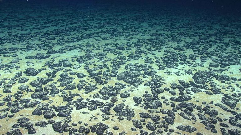 A wide-angle, underwater photograph shows a vast field of dark, lumpy polymetallic nodules resting on the pale, sandy sediment of the deep ocean floor. The nodules, which are rich in minerals like manganese and cobalt, vary in size and densely cover the seafloor as it recedes into the dark, murky blue background. The lighting is artificial, illuminating the textures of the nodules and the flat, silty expanse of the abyssal plain.