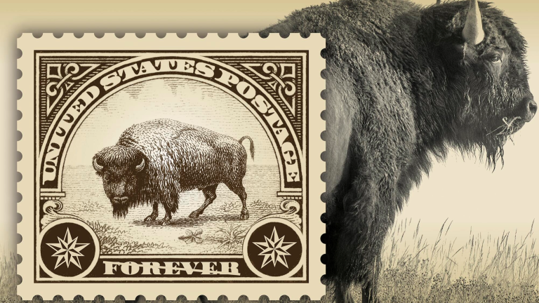 a postage stamp with a bison on it