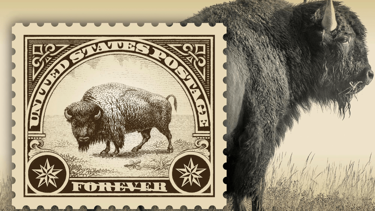 New stamp honors Yellowstone’s iconic bison