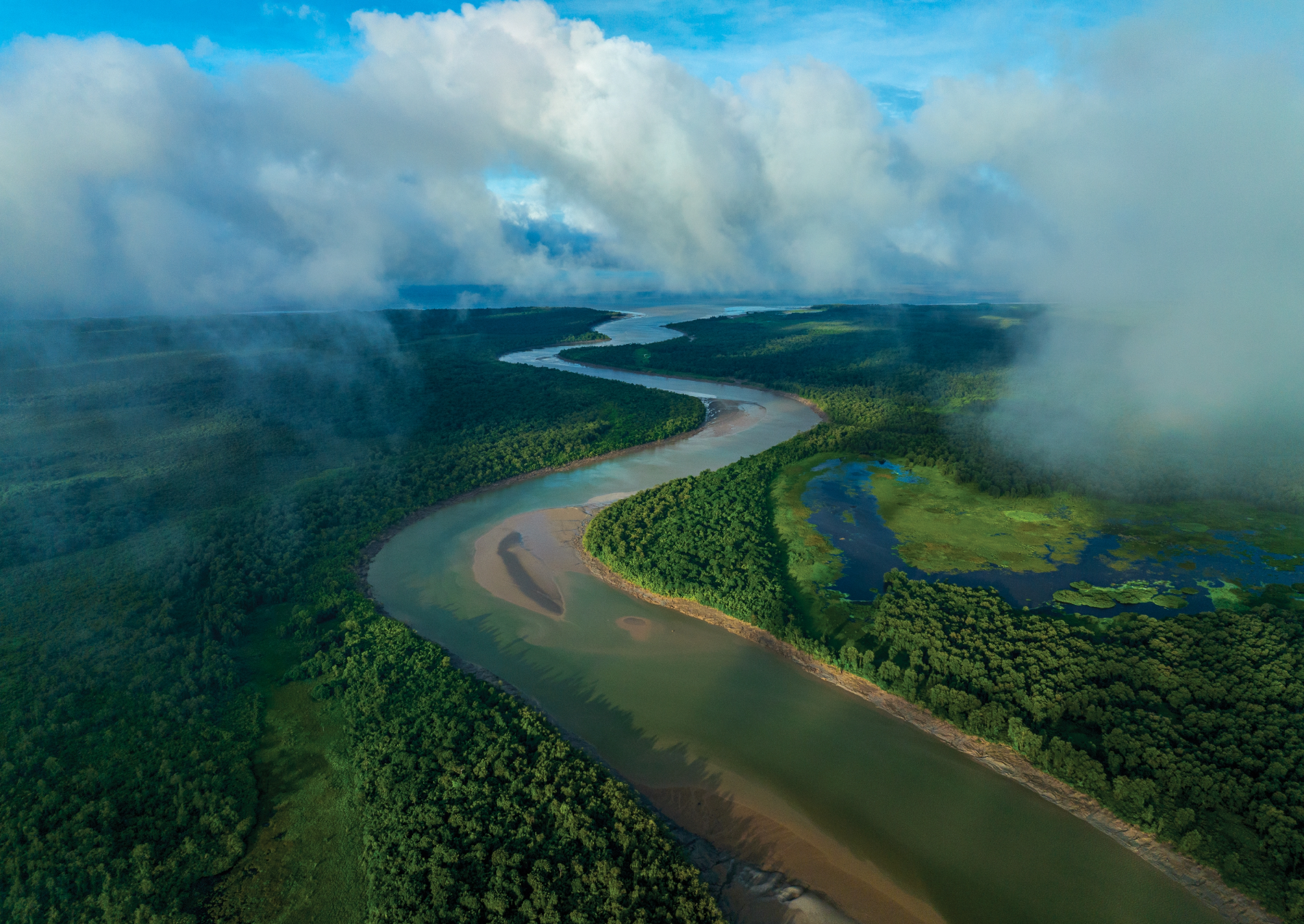 an overhead view of the amazon river winding through the rainforest and emptying out into the ocean