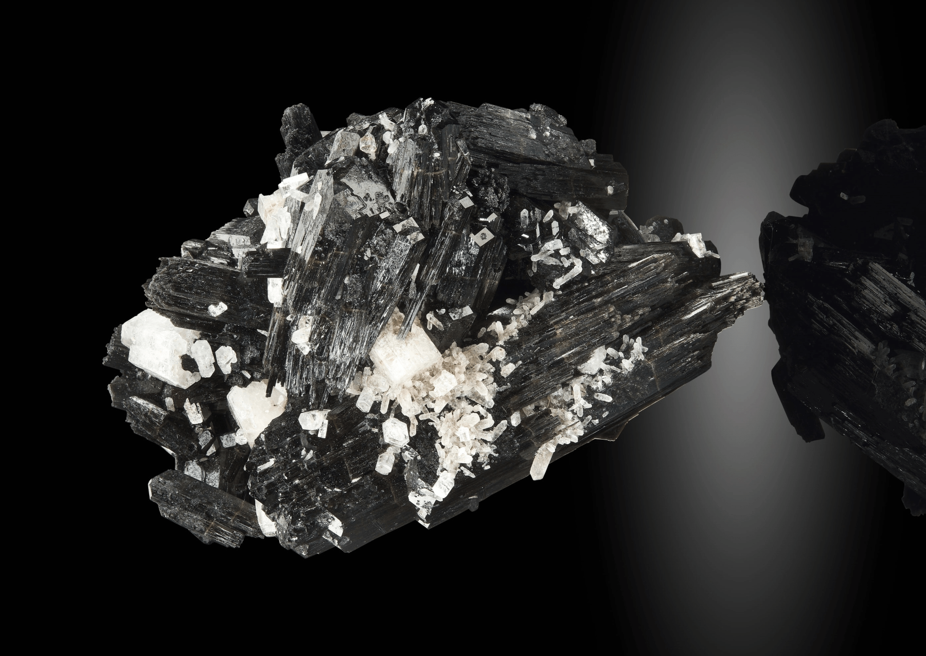 a black mineral flecked with white