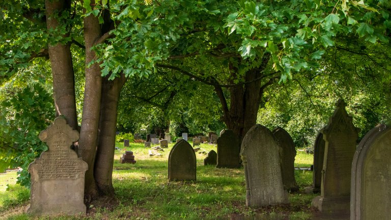 A wide-angle photograph of an old, shaded graveyard with several weathered stone headstones of varying shapes and sizes. The cemetery is lush with green grass and is dominated by large, leafy deciduous trees whose branches cast dappled sunlight over the monuments. In the background, more headstones are scattered across a sunlit grassy area.