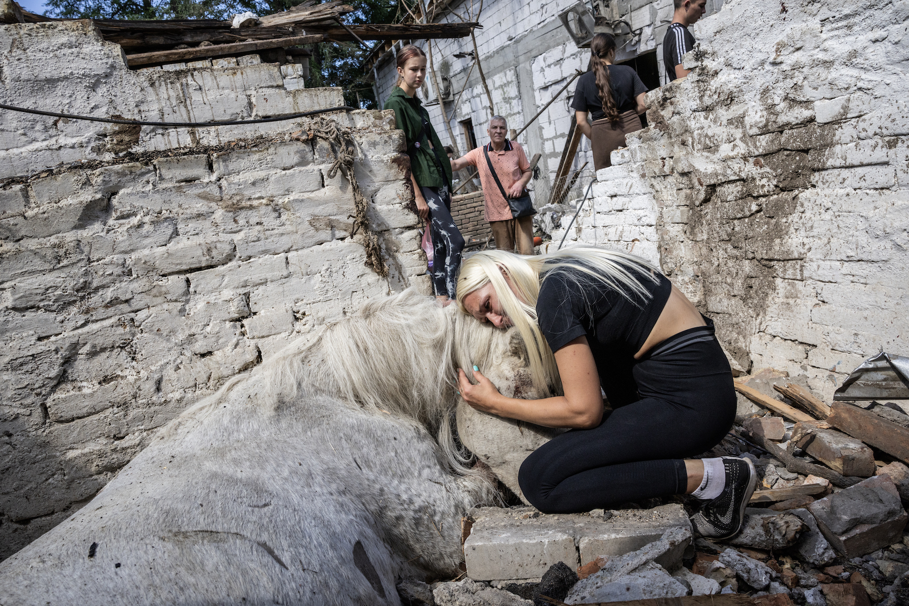 Title: Drone Wars Credit: © David Guttenfelder, The New York Times Caption: Yulia Vasiakina embraces Kamelia, her 20-year-old horse, killed when Russian long-range drones struck their neighborhood and destroyed most of the surrounding city block. Odesa, Ukraine, 11 July 2025. Story: Ukraine’s battle against the Russian invasion is reshaping modern combat. Hobby drones are being repurposed into remote-controlled weapons, and mass-produced first-person-view (FPV) drones are piloted from kilometers away with deadly precision. These developments have triggered an unrelenting drone arms race and turned vast areas of Ukraine into “kill zones”. Civilians are targeted and displaced, and soldiers spend most of their time in underground bunkers or basements, unable to be resupplied or casualty-evacuated. This story documents Ukraine's efforts to advance its drone capabilities, and the impact of Russian drone attacks on civilians.