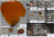 Collected biological specimens