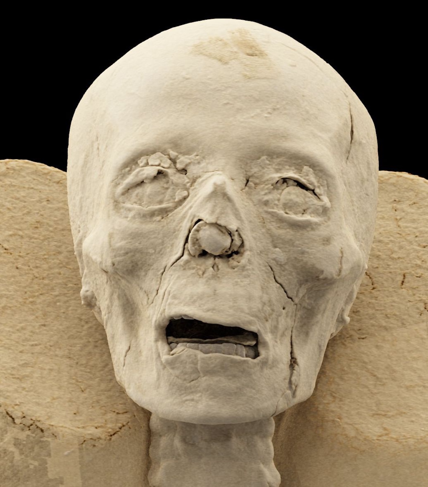 3D scan of front of mummy skull