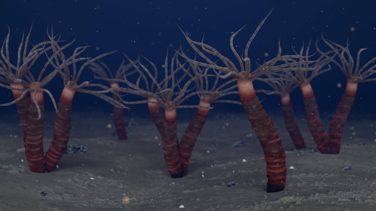 Illustration of ancient tubular polyps on the ocean floor