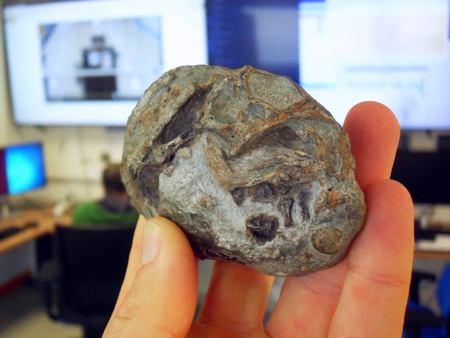 The fossilized egg photographed in the control room of the ESRF in France. Credit: Julien Benoit