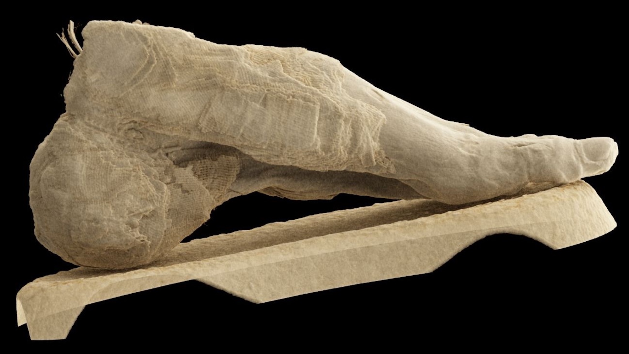 It’s a bird! It’s a head! No, it’s a mummified foot.