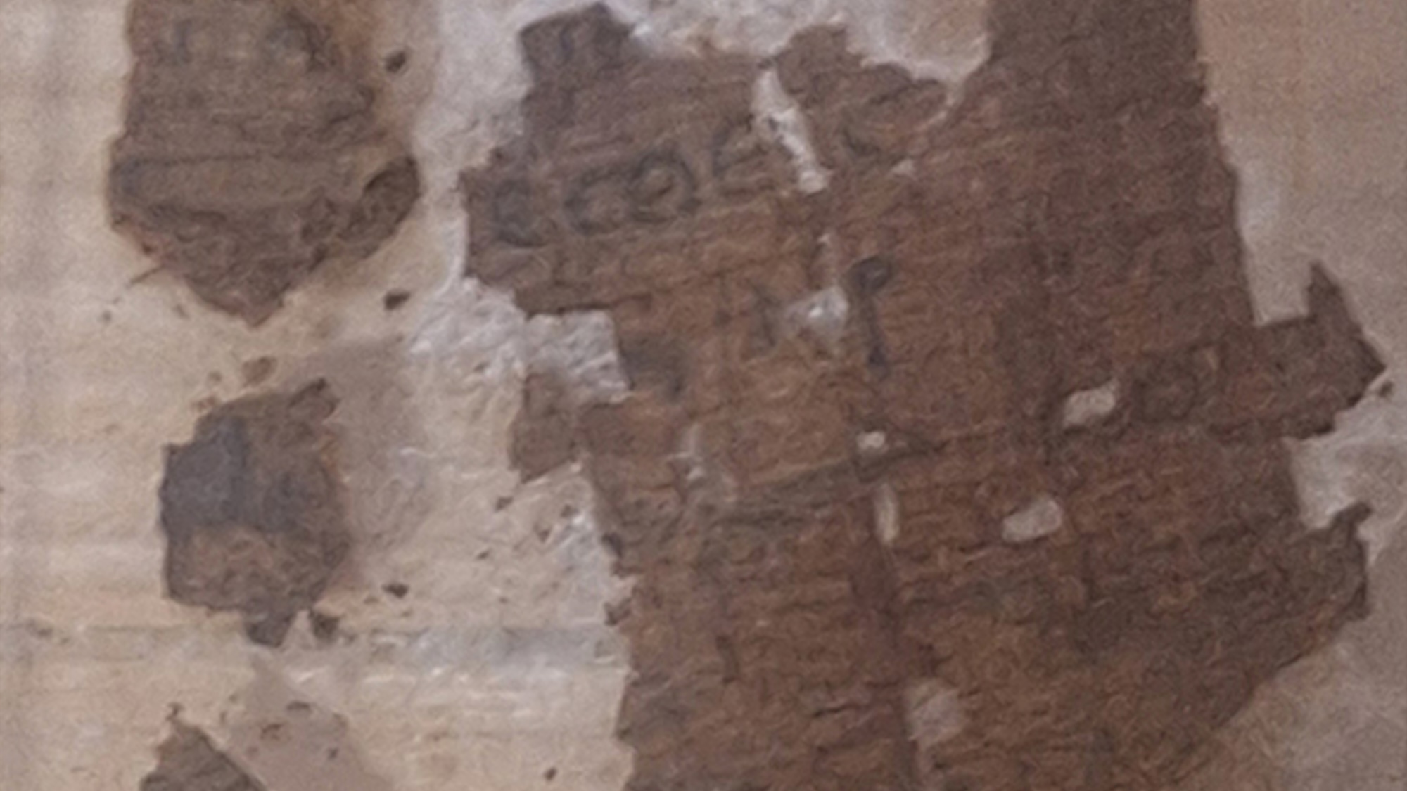 Papyrus fragments featuring portion of 'The Iliad'