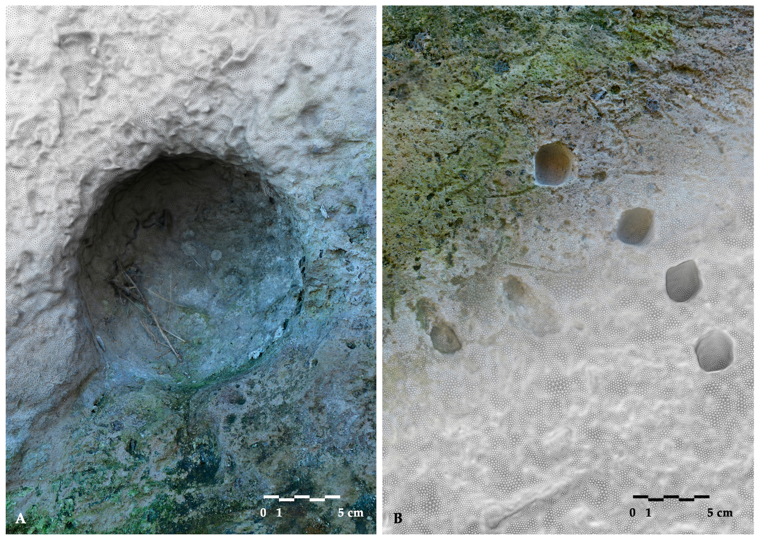 Scale comparison of two detailed textured mesh models: on the left, (A) ballistic impact of a spherical stone projectile; on the right, (B) fan-shaped groups of smaller quadrangular impacts. Credit: Rossi, et al.