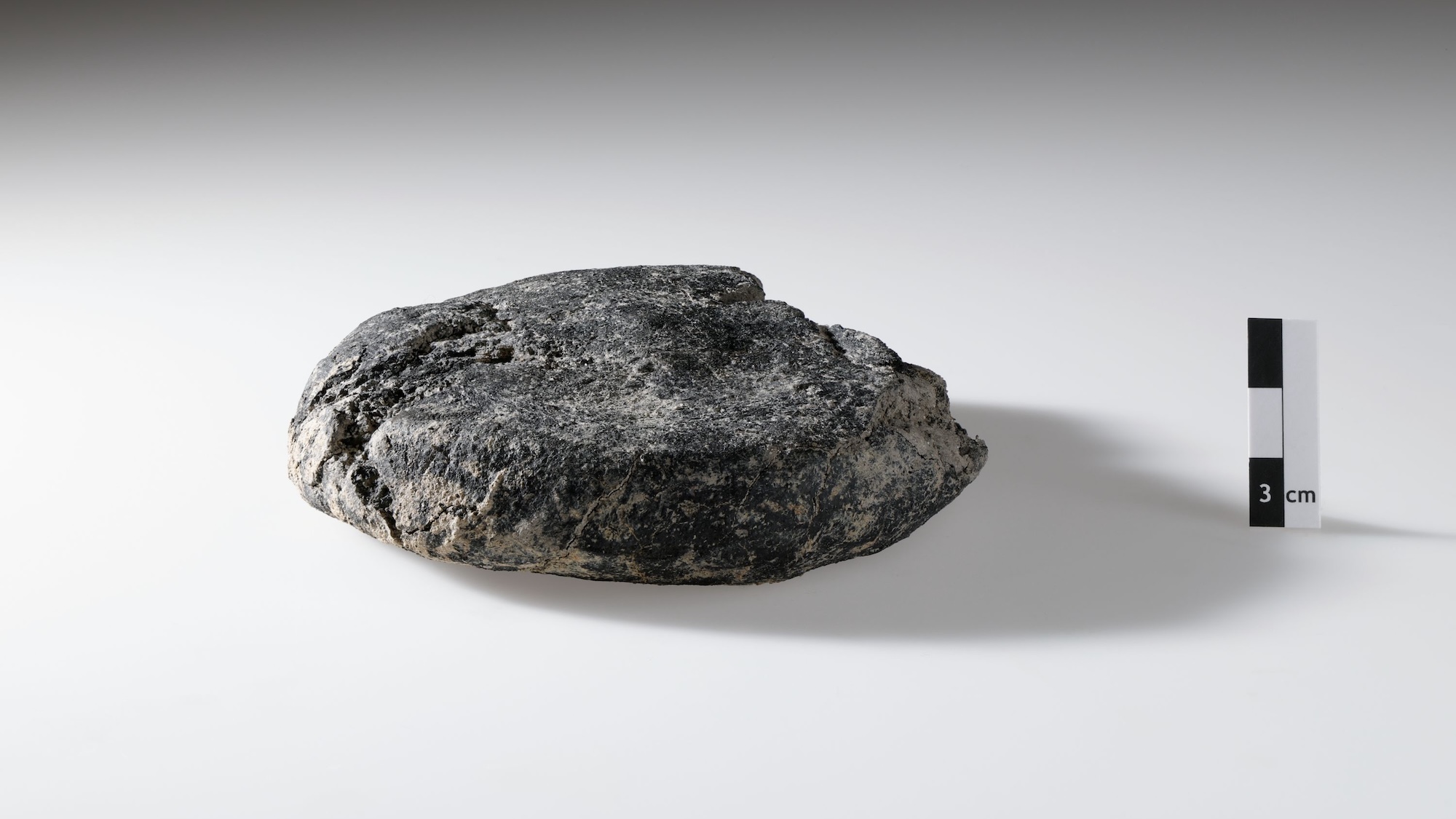 popsci.com - Andrew Paul - 2,000-year-old Roman bread discovered under construction site