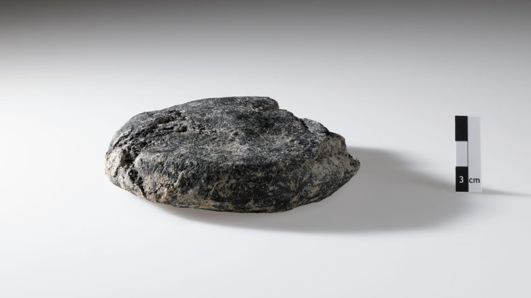 Charred Roman bread next to ruler for scale