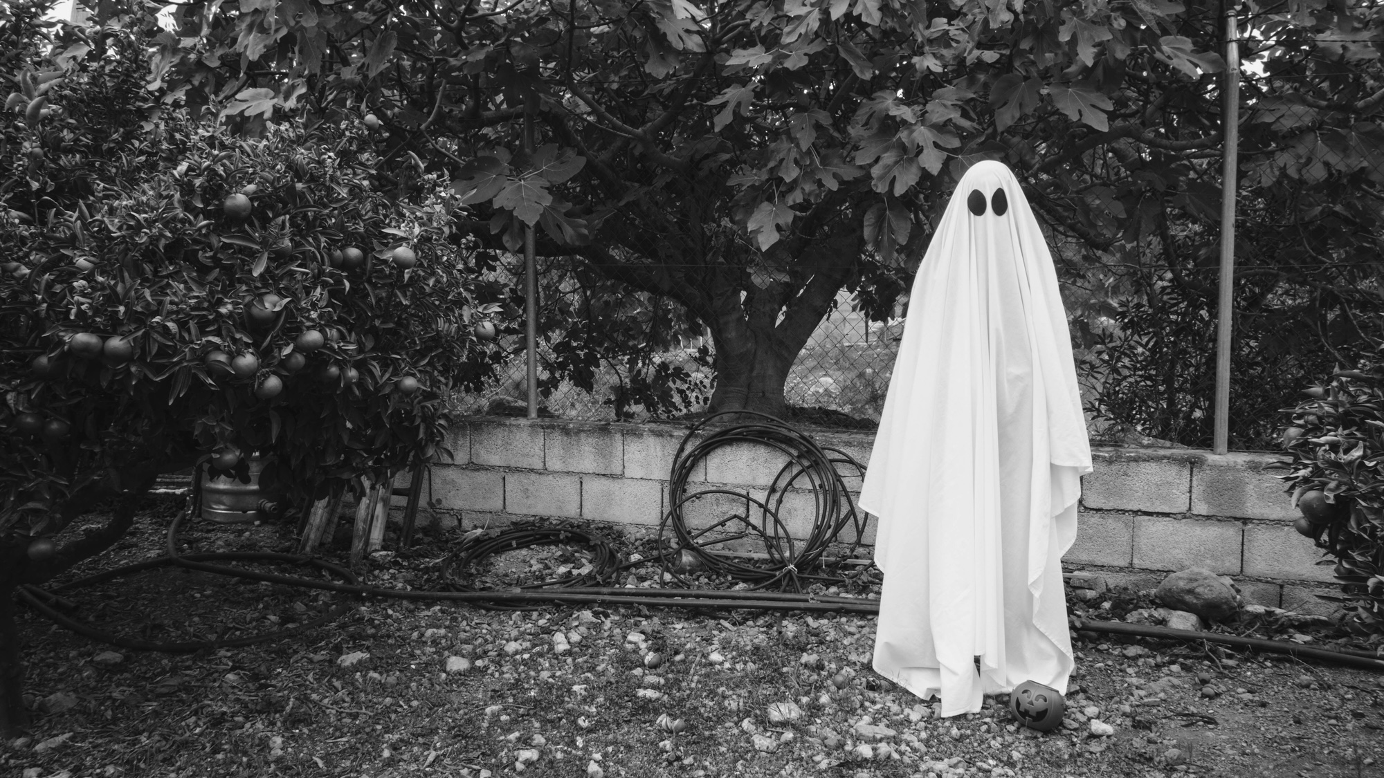 Black and white photo of person standing in sheet ghost costume in backyard