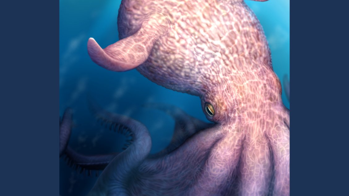 65-foot-long octopuses ruled ancient oceans | Popular Science