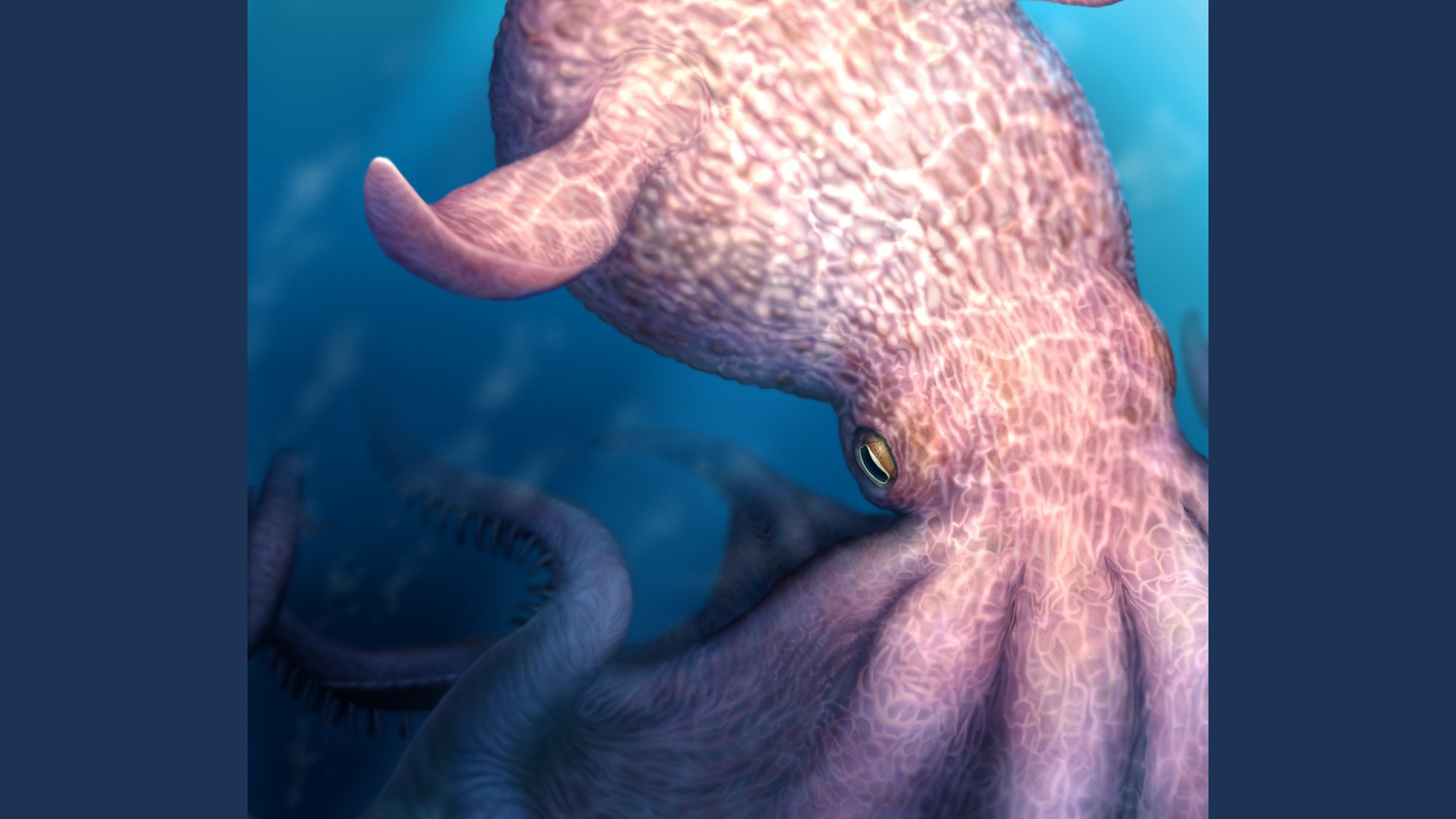 Illustration of giant, ancient finned octopus
