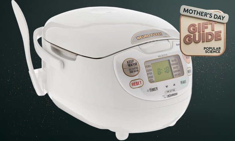 Zojirushi NS Neuro Fuzzy Rice Cooker