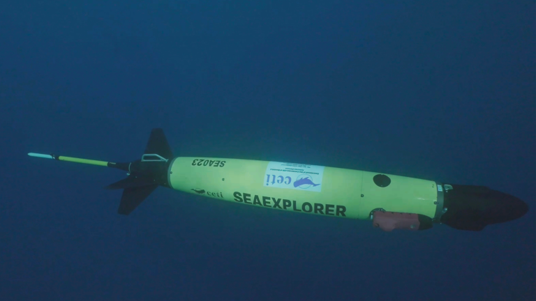 a yellow glider in the ocean